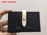 Celine Strap Card Holder in Grained and Shiny Calfskin Black and Chalk Replica