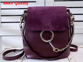 Chloe Faye Backpack in Bordeaux Smooth and Suede Calfskin Replica