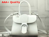 Delvaux Brillant Mini Bag White Textured Leather Replica