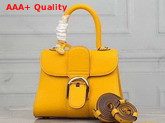 Delvaux Brillant Mini Bag Yellow Grain Leather Replica