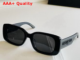 Dior Wildior S2U Black Rectangular Sunglasses Replica