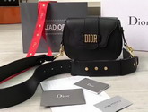 Dior D Fence Saddle Bag in Black Calfskin For Sale