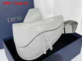 Dior Saddle Bag Light Grey Grained Calfskin with Dior Ribbon Signature Replica