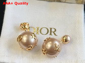 Dior Tribales Earrings Pink Finish Metal with Pink Resin Pearls and a Pink Crystal Replica