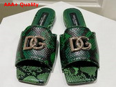 Dolce Gabbana Python Skin Slides with DG Logo in Green Replica