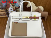 Hermes Colormatic Birkin 30 Bag in Cream and Tan Swift Calfskin Replica