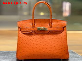 Hermes Ostrich Birkin 30 Bag in Orange Replica