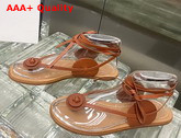 Loewe Disc Sandal in Brown Calfskin Replica