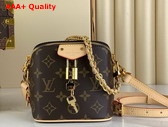 Louis Vuitton Just In Case Handbag in Monogram Canvas M47096 Replica