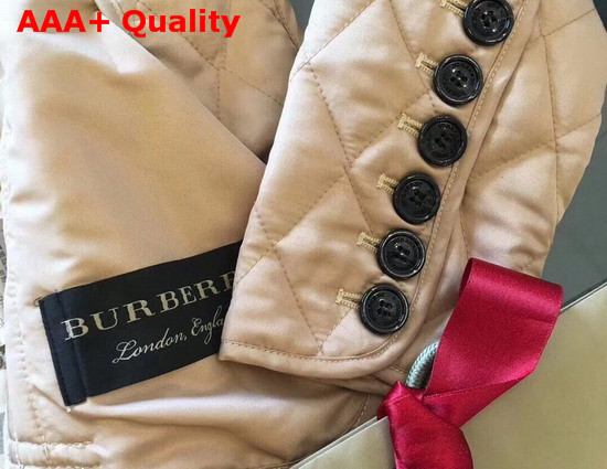 Burberry Diamond Quilted Jacket in Beige Replica