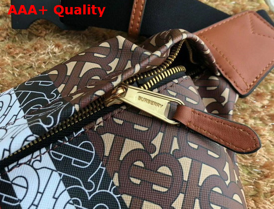 Burberry Medium Monogram Stripe E Canvas Bum Bag Replica