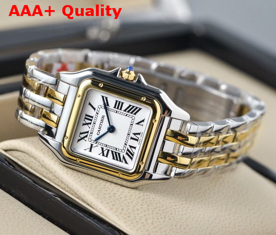 Cartier Panthere De Cartier Watch Small Model Yellow Gold and Steel Replica