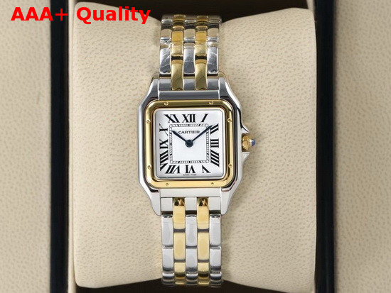 Cartier Panthere De Cartier Watch Small Model Yellow Gold and Steel Replica