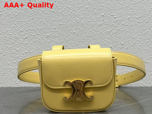 Celine Belt Bag Triomphe Belt in Shiny Calfskin Pollen Replica