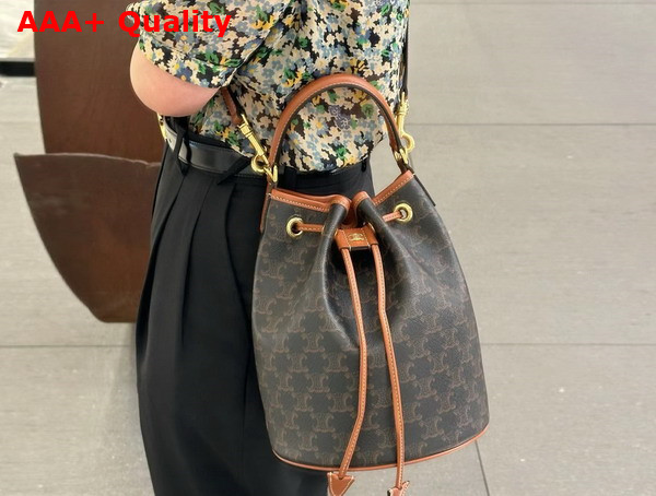 Celine Clara Bag in Triomphe Canvas and Calfskin Tan Replica