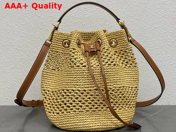 Celine Clara Celine Classic Panier in Raffia and Calfskin Tan Replica