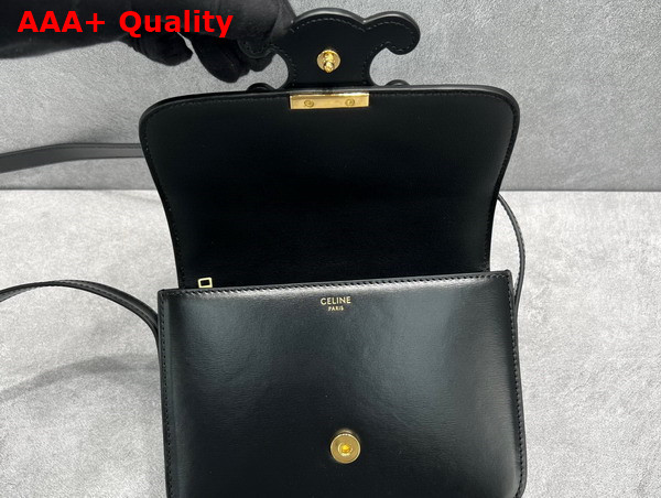 Celine Medium Bag Cuir Triomphe in Natural Calfskin Black Replica