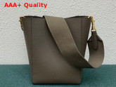 Celine Sangle Small Bucket Bag in Taupe Soft Grained Calfskin Replica