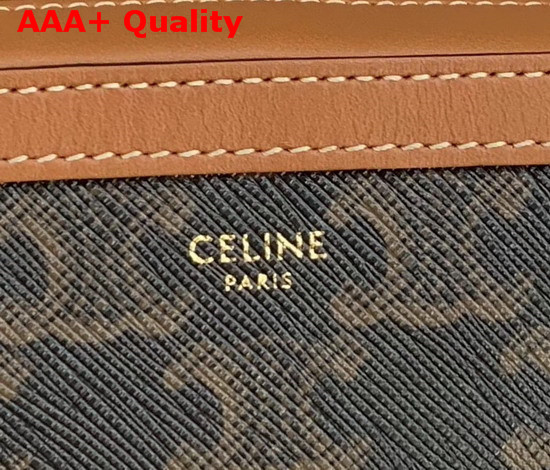 Celine Small Camera Bag in Triomphe Canvas Replica