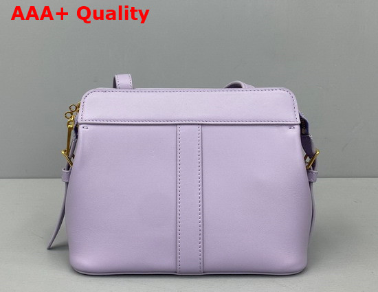 Celine Teen Cabas De France in Shiny Calfskin Lilas Replica