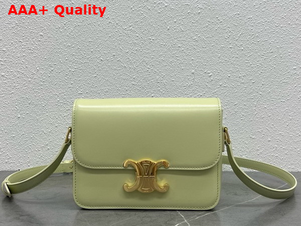 Celine Teen Triomphe Bag in Almond Green Shiny Calfskin Replica