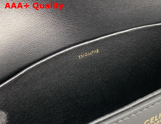 Celine Triomphe Shoulder Bag in Shiny Calfskin Black Replica