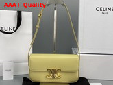 Celine Triomphe Shoulder Bag in Shiny Calfskin Papyrus Replica