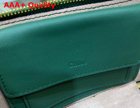 Chloe C Mini Vanity Bag in Croc Embossed Calfskin Woodsy Green Replica