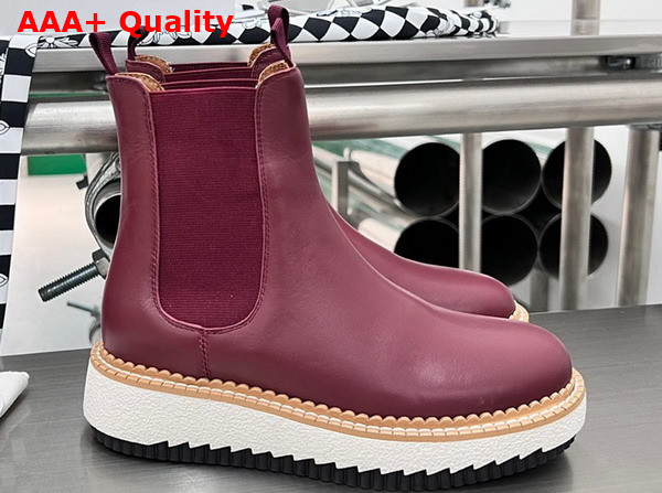 Chloe Lilli Chelsea Ankle Boot in Burgundy Cowhide Replica