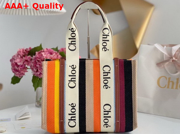 Chloe Medium Tote Bag Striped Cotton Canvas and Shiny Calfskin Brown Multicolour Replica