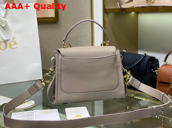 Chloe Mini Tess Day Bag in Grained and Shiny Calfskin Motty Gray Replica