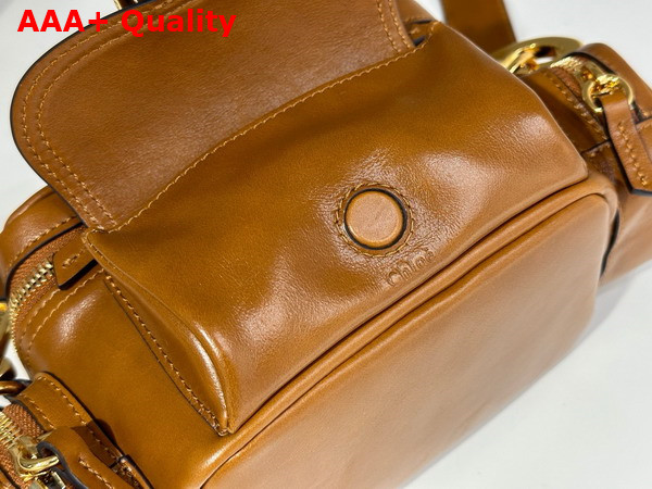 Chloe Small Camera Bag in Clay Brown Shiny Leather Replica