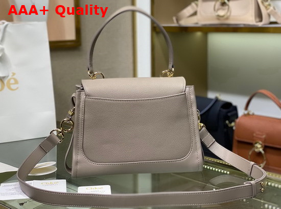 Chloe Small Tess Day Bag in Grained and Shiny Calfskin Motty Grey Replica