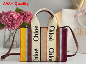 Chloe Small Tote Bag Striped Cotton Canvas and Shiny Calfskin Brown Multicolour Replica