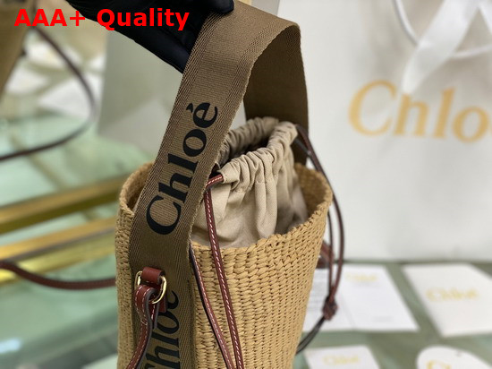 Chloe Small Woody Basket Fair Trade Paper and Woody Ribbon Grove Brown Replica