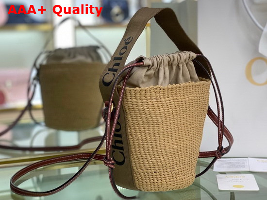 Chloe Small Woody Basket Fair Trade Paper and Woody Ribbon Grove Brown Replica