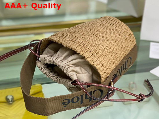 Chloe Small Woody Basket Fair Trade Paper and Woody Ribbon Grove Brown Replica