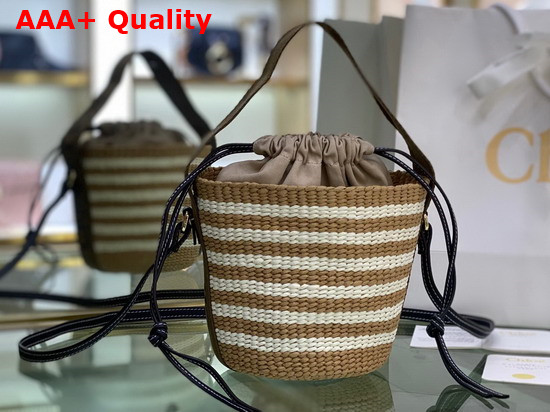 Chloe Small Woody Basket in Fair Trade Paper with the Woody Ribbon Grove Brown Replica