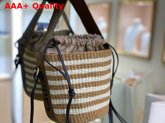 Chloe Small Woody Basket in Fair Trade Paper with the Woody Ribbon Grove Brown Replica