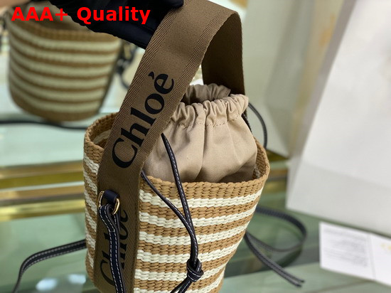 Chloe Small Woody Basket in Fair Trade Paper with the Woody Ribbon Grove Brown Replica