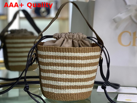 Chloe Small Woody Basket in Fair Trade Paper with the Woody Ribbon Grove Brown Replica