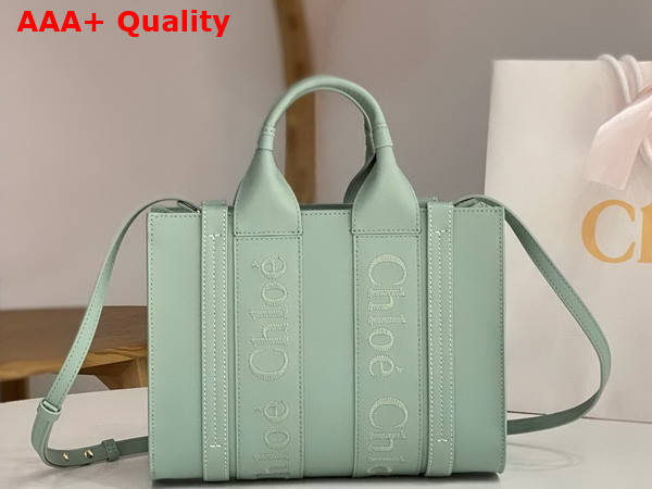 Chloe Small Woody Tote Bag in Bay Green Smooth Calfskin with Chloe Logo Replica