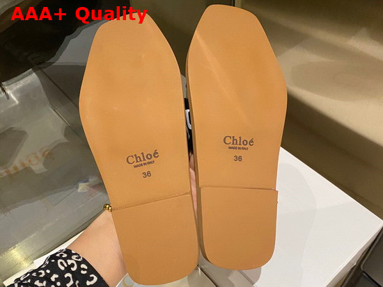 Chloe Woody Flat Mule in Black Canvas Replica