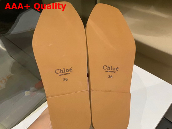 Chloe Woody Flat Mule in Canvas Beige and Black Replica