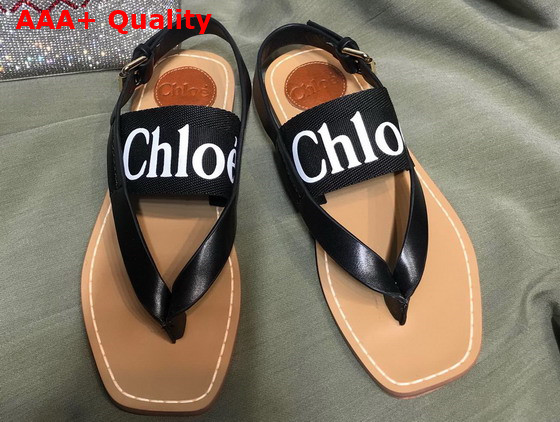 Chloe Woody Flat Sandal in Black Calfskin and Canvas Replica