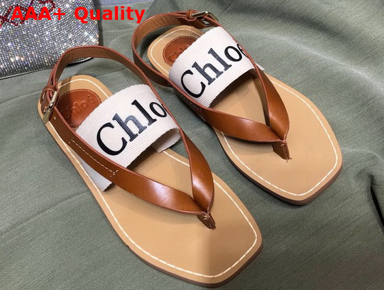 Chloe Woody Flat Sandal in Brown Calfskin and White Canvas Replica