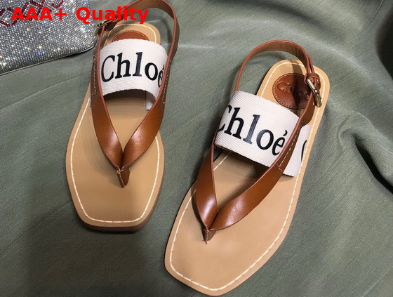 Chloe Woody Flat Sandal in Brown Calfskin and White Canvas Replica