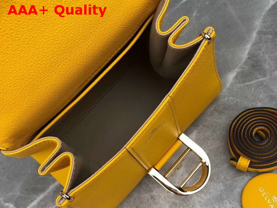 Delvaux Brillant Mini Bag Yellow Grain Leather Replica