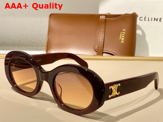 Celine Triomphe 01 Sunglasses in Acetate White Replica