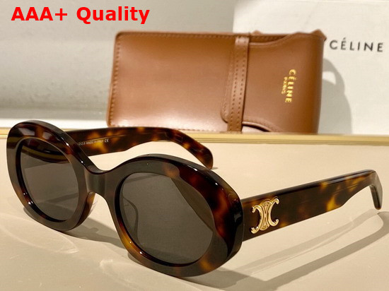 Celine Triomphe 01 Sunglasses in Acetate White Replica